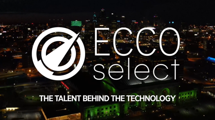 ECCO Select Healthcare IT Consulting Talent Careers